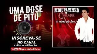 Uma Dose De Pitu / Miguelzinho - (&Aacute;udio Oficial)