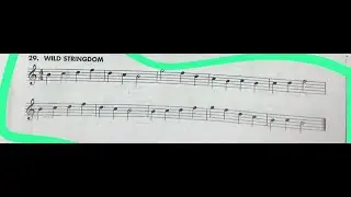 Wild Stringdom en guitarra