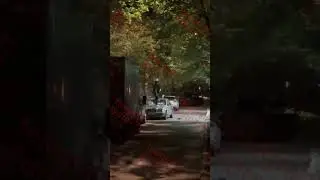 Скалли Милано и Аглистефан разбили чью то машину
