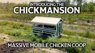 Massive Mobile Chicken Coop Holds Up To 125 Birds! Introducing the Chickmansion