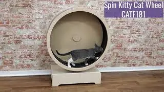Penn-Plax Spin Kitty Cat Exerciser Wheel & Tree with Built-in Wheel - CATF181