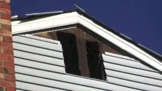 Bat Trapping & Removal from Attics, Sheds & Barns in Chevy Chase, MD