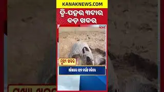 ବର୍ତ୍ତମାନର ବଡ଼ ଖବର | Top Headlines | Union Budget 2026 || Breaking News