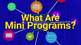 What Are Mini Programs?