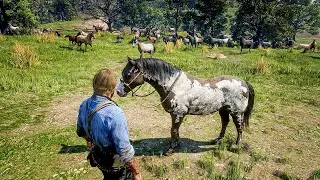 Rare New Horse in Red Dead Redemption 2