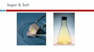 5.1 Sugar & Salt