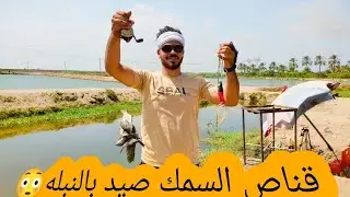 قناص السمك صيد بالنبله شاهد متعه الصيد بالنبله واحلا بلطي بلدي😎
