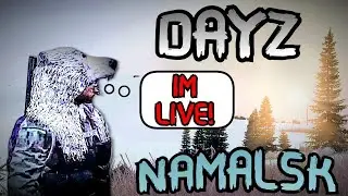 Survivor in the Cold North.. in DayZ