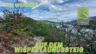 Quer durch den Wispertaunus zum Rhein - Wandern auf dem Wispertaunussteig