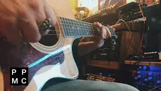 World Guitar Collection - Pleasant Pictures Music Club