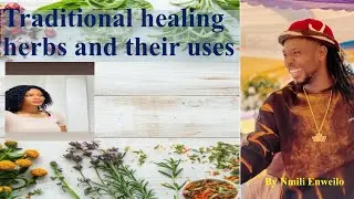 How to use herbs and roots traditionally to heal illnesses 