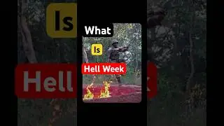 Hell Week: No Sleep. No Mercy. Just Grit. #NSGCommando#HellWeek #SpecialForces #MilitaryTraining