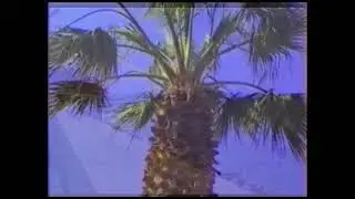 Kusadasi - Turkey 1990
