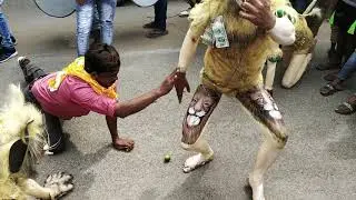 Bilaspur Sher dance 2018