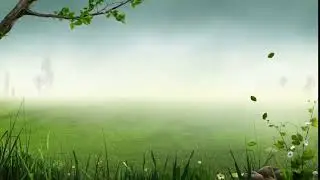 2020 Forest Background Video Effects Hd Zulqarnain   Natural Beauty