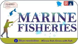 Part 1 -  Marine Fisheries - Finfish | Fish Production Marine Fisheries | Blue Revolution