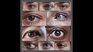 Eyes of the World &mdash; A Cinematic Ambient Journey | Vintage Library Cat