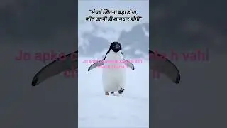 Jo apko chalenge karta h vahi apko change karta h channel like share aur subscribe kare