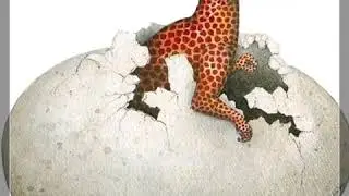 Some of our dinosaur wall decals