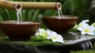 🔴LIVE Relaxing Music & Water 🌊 Sleep Calm, Deep Rest & Peaceful Meditation
