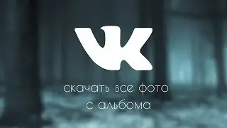 Как скачать весь альбом фотографий ВКонтакте