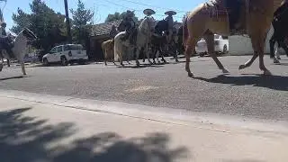 Yerington nevada 2019