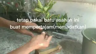 Cara mengasah pisau dapur setajam silet ?? Ini buktinya