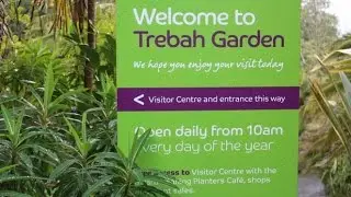 Trebah Garden Cornwall England