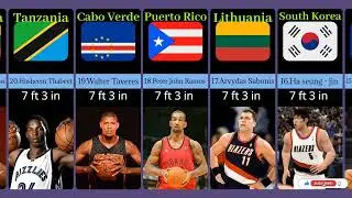 List of Top 30 Tallest  players in nba ll height comparison