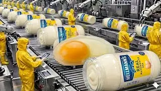 Look! How Mayonnaise is Made: How Hellmann's Real Mayonnaise is made in Factory (Full Process)