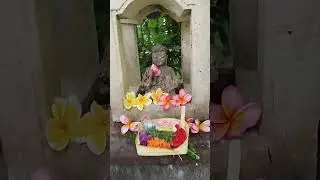 #morning #walkthrough #bali #garden #morning #flow #flowers #walk #morningroutine #travel #indonesia