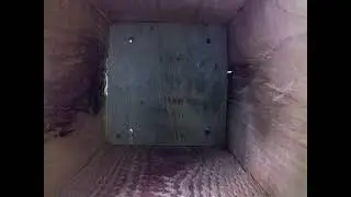 Live aus dem Maisenkasten D&auml;tzingen: Einblicke in das Vogelleben