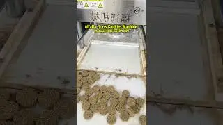 Alfalfa Grass Cookies Machine | Timothy Hay Grass Cake Machine