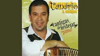 Vamos À Vaca