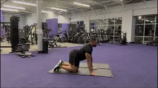 Cat&ndash;Cow Spinal Mobility Exercise | Controlled Spine Movement | Lionstrong