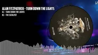 Alan Fitzpatrick - Turn Down The Lights [DC134]