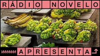 Tão perto e tão longe | Podcast Rádio Novelo Apresenta