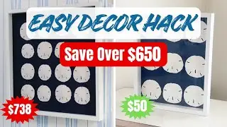 DIY Affordable Sand Dollar Shadow Box - DECOR DUPE SAVE OVER $650