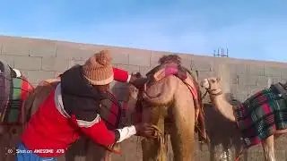 UNTH KO NEHLAYA JA RAHA THAND MAI##viralvideo 