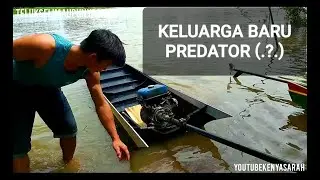 PERAHU PREDATOR BARU AKHIRNYA JADI DAN SEKARANG PREDATOR ADA 3 || SKILL SELIMAU EPISODE 023