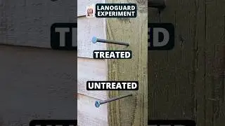 Can Lanoguard Survive Winter? One User Puts It to the Test
