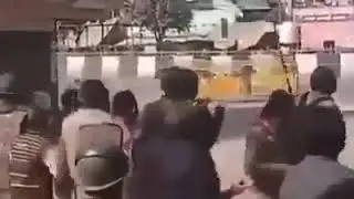 Police Role In Delhi Riots | Courtesy BBC