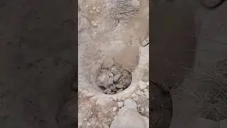 Treasure signs and symbols | Metal detecting | How to find treasure | Archaeology treasure hunt.