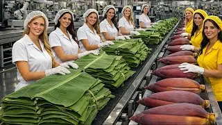 Inside a Banana Processing Factory &ndash; From Harvest to Finished Fiber 🏭
