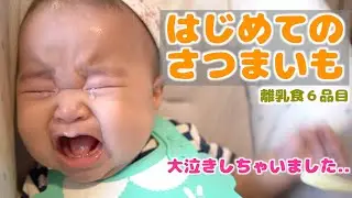 初めてのさつまいも♪最後は珍しく大泣きしました【生後六ヶ月赤ちゃん】6 months baby  eating sweet potato for the first time.