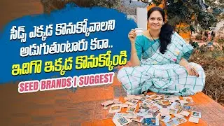 కూరగాయ విత్తనాలు ఈ బ్రాండ్లు కొనుక్కోవచ్చు / Some Seed brands I Suggest @MADGARDENER  #gardening
