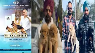GERMAN SHEPHERD DOG SHOW PATIALA 2026 || Puppy Market Patiala Dog show