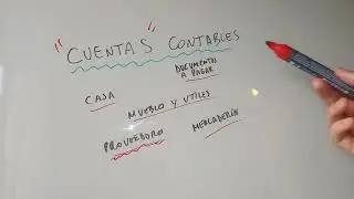 &iquest;Qu&eacute; son las Cuentas Contables?