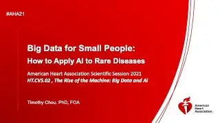 Big Data for Small People: How to Apply AI to Rare Diseases