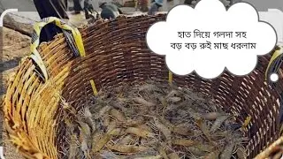 Village Style Hand Fishing | Giant Rohu Fish & Lobster Catch🐟